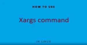 xargs Command In Linux